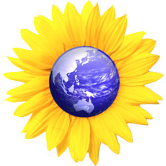 afforestation